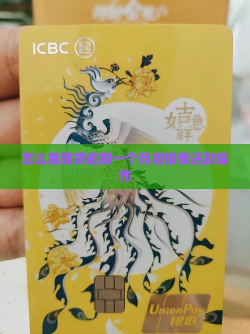 惠民贷逾期一个月后面能慢慢还款吗怎么操作