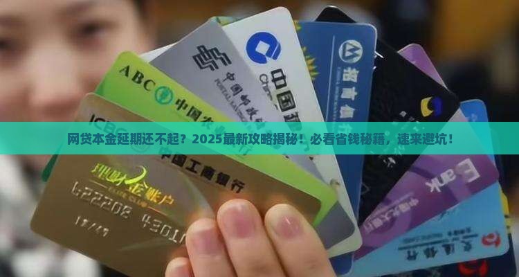 网贷协商延期归还本金如何操作