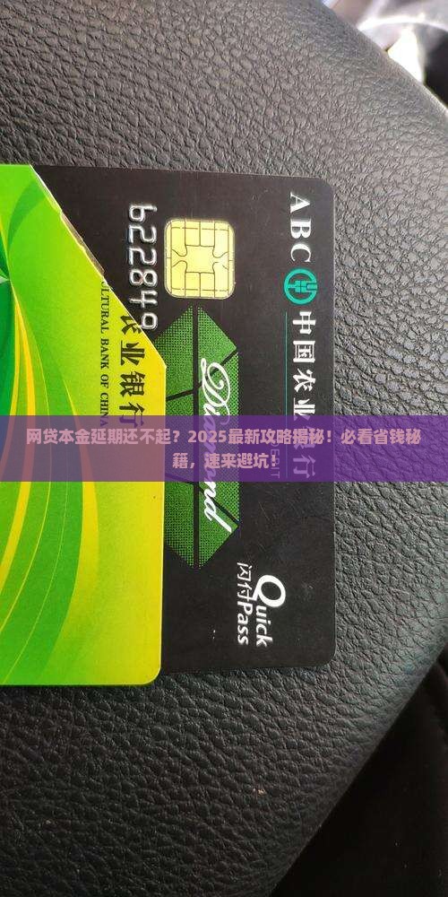 网贷协商延期归还本金如何操作