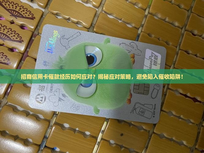 招商信用卡催款经历如何应对
