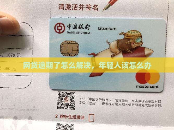 欠网贷逾期的年轻人如何解决问题