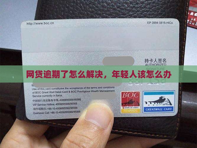 欠网贷逾期的年轻人如何解决问题