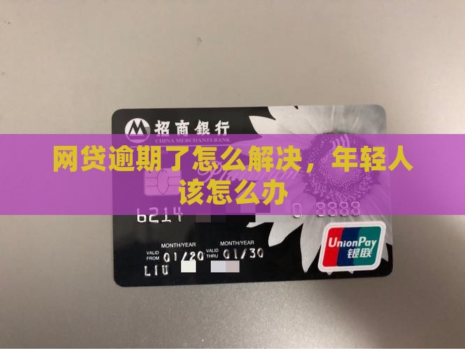 欠网贷逾期的年轻人如何解决问题