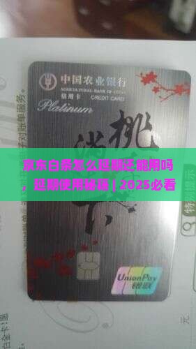 京东白条怎么延期还能用吗