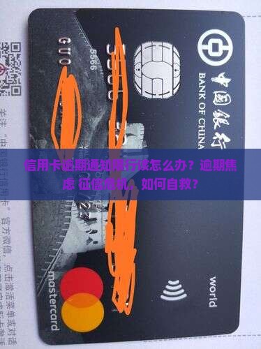 信用卡逾期通知限行应该如何处理
