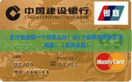 支付宝逾期一个月怎么办应对策略