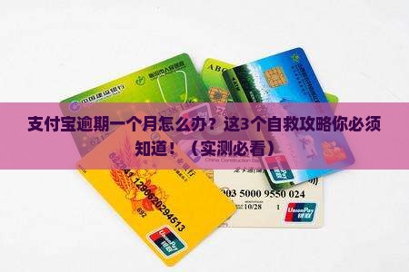 支付宝逾期一个月怎么办应对策略