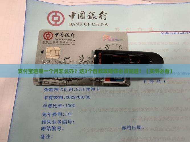 支付宝逾期一个月怎么办应对策略