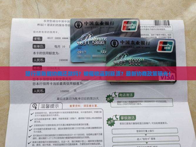 建行呆账能协商还款吗