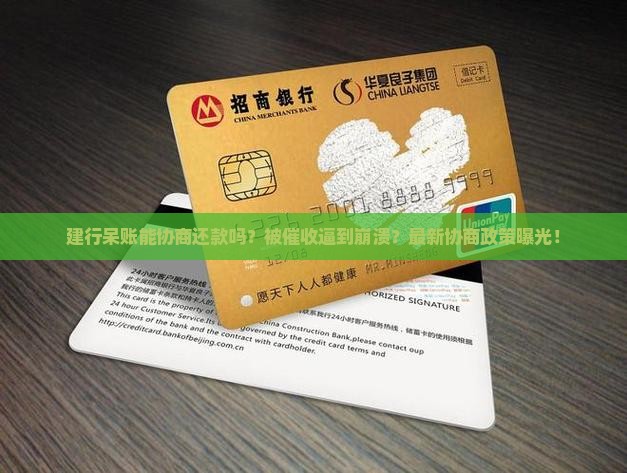 建行呆账能协商还款吗