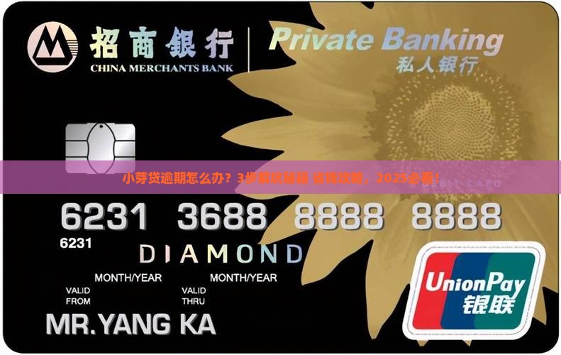小芽贷逾期处理流程及规定