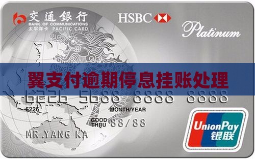 翼支付逾期停息挂账