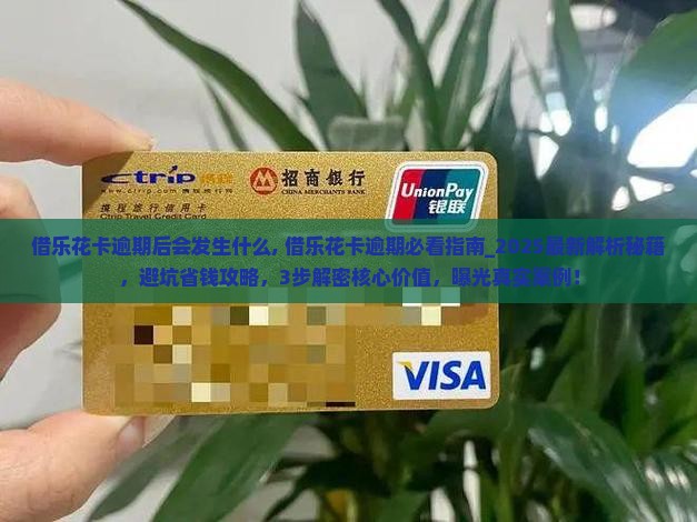 借乐花卡逾期后会发生什么