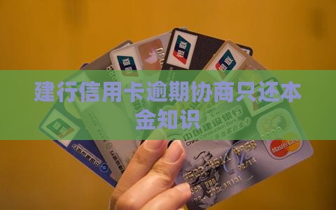 建行协商还款如何能只还本金