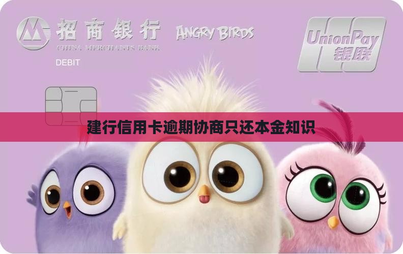 建行协商还款如何能只还本金