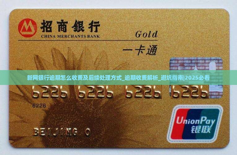 新网银行逾期怎么收费及后续处理方式