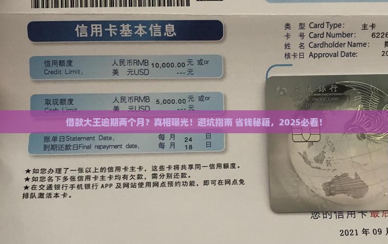 借款大王逾期两个月