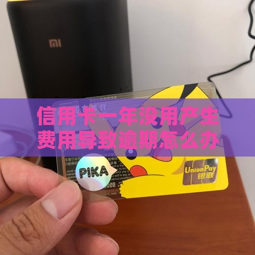 信用卡一年没用产生费用逾期怎么办