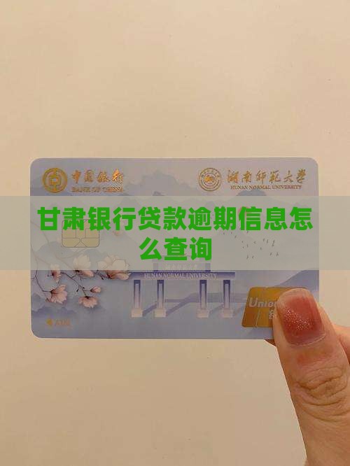 甘肃银行贷款逾期信息怎么查询