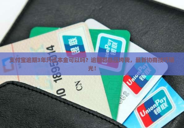 支付宝逾期3年只还本金可以吗