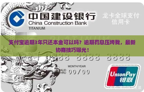 支付宝逾期3年只还本金可以吗