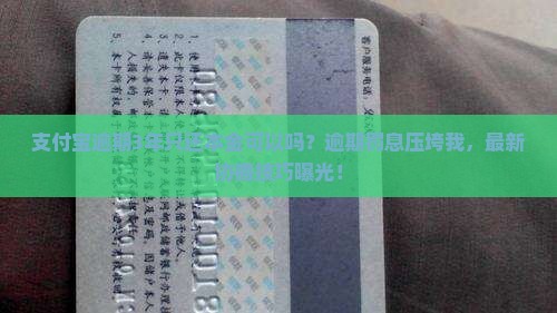 支付宝逾期3年只还本金可以吗
