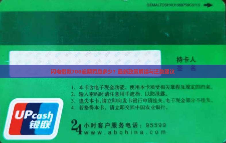 闪电借款700逾期罚息多少
