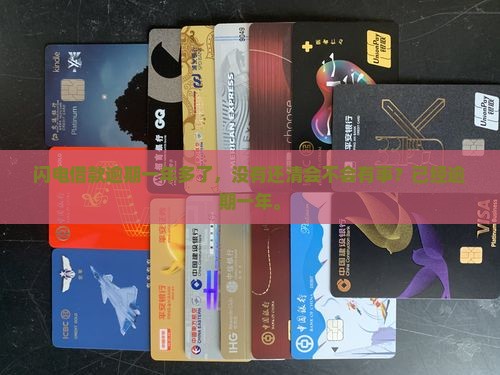 闪电借款逾期快一年了