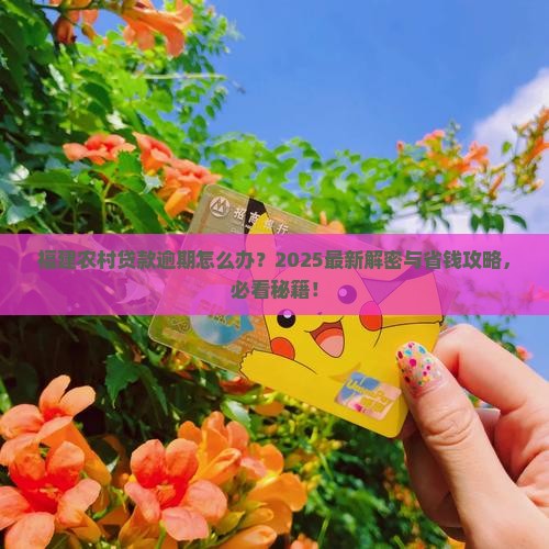 福建农村贷款逾期怎么处理应该办理哪些手续