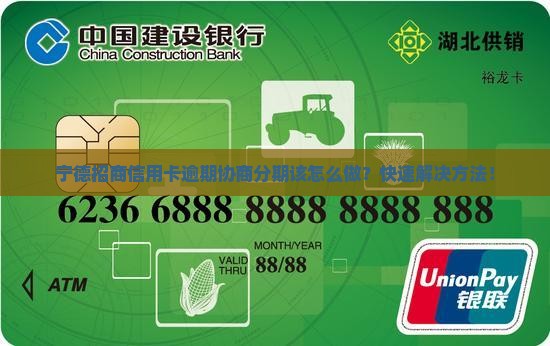 宁德招商信用卡逾期协商分期该怎么做