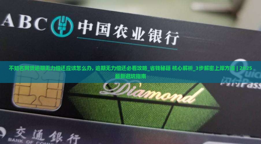 不知名网贷逾期无力偿还应该怎么办