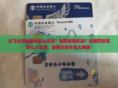 达飞云贷逾期后怎么还款能不能延期还款