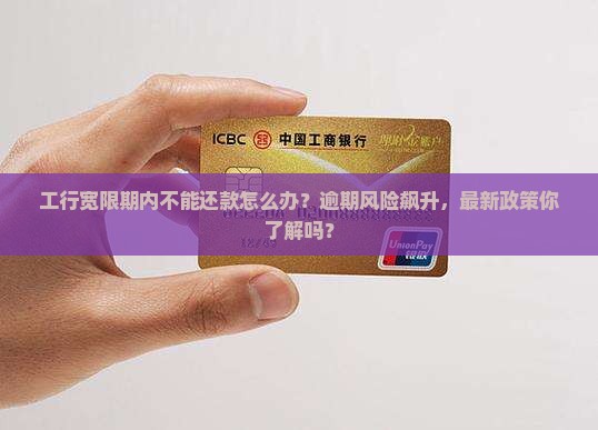 工行宽限期内不能还款