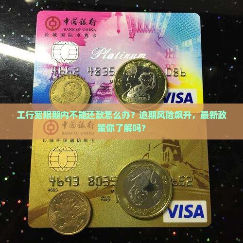 工行宽限期内不能还款