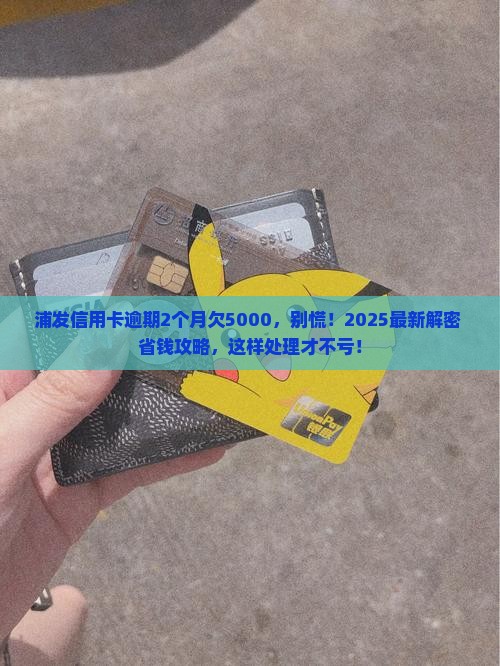 浦发信用卡逾期2个月5千该怎么处理
