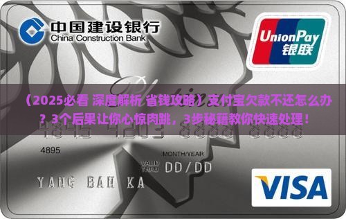 欠支付宝款不还有什么后果如何处理
