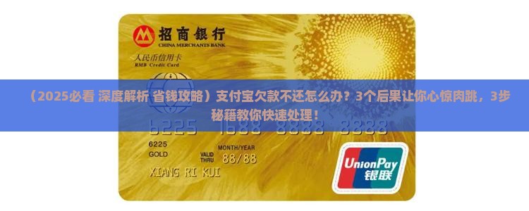 欠支付宝款不还有什么后果如何处理