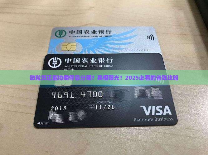 微粒贷如何协商停息分期还款