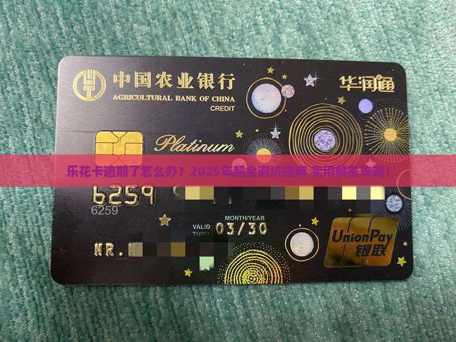 乐花卡怎么逾期处理