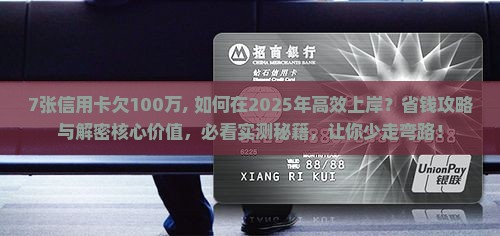 7张信用卡欠100万