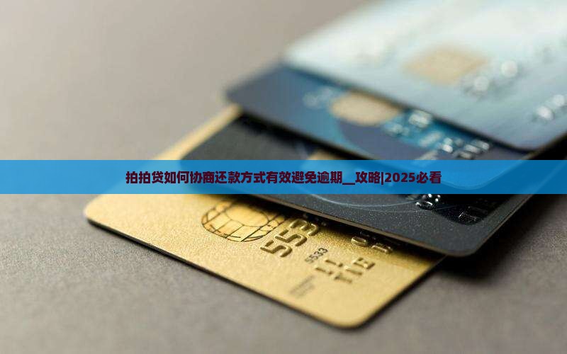 拍拍贷如何协商还款方式有效避免逾期