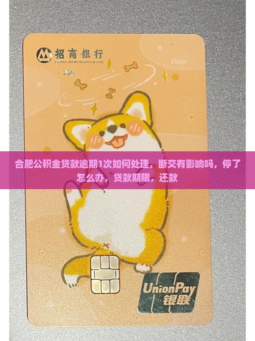 合肥公积金贷款逾期1次如何处理