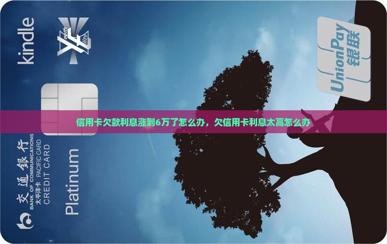 信用卡欠款利息涨到6万了怎么办