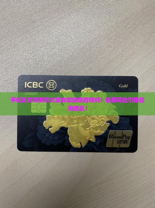 手机支付消费贷欠款一案