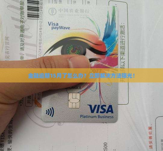 招联金融逾期15月了怎么办