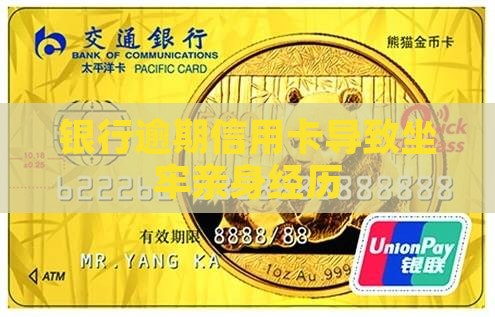 欠各银行坐牢亲身经历
