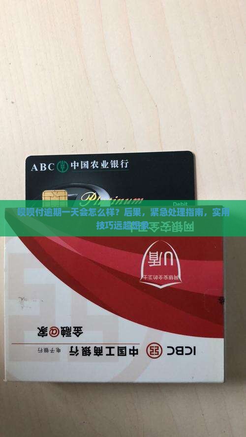 呗呗付逾期一天会怎么样