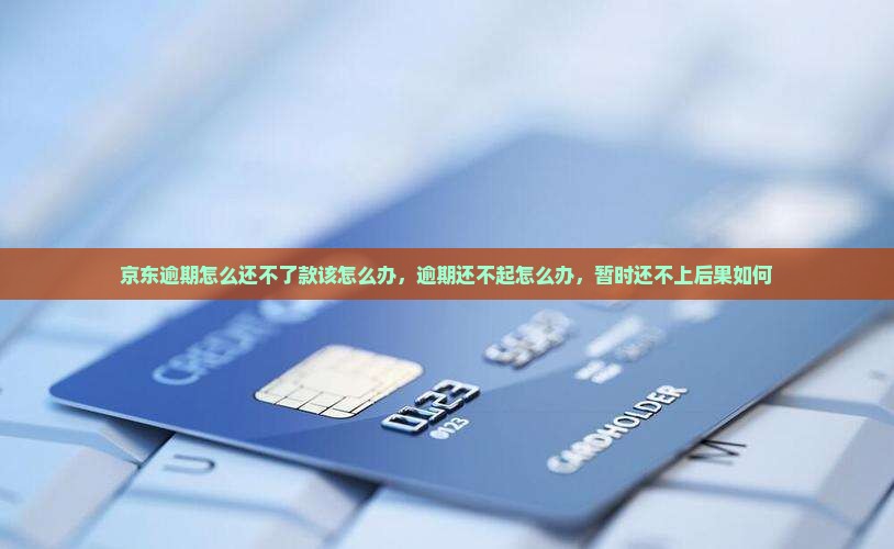 京东白条逾期怎么还不了款该怎么办