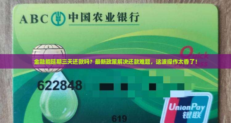 招联金融同意延期三天还款申请成功