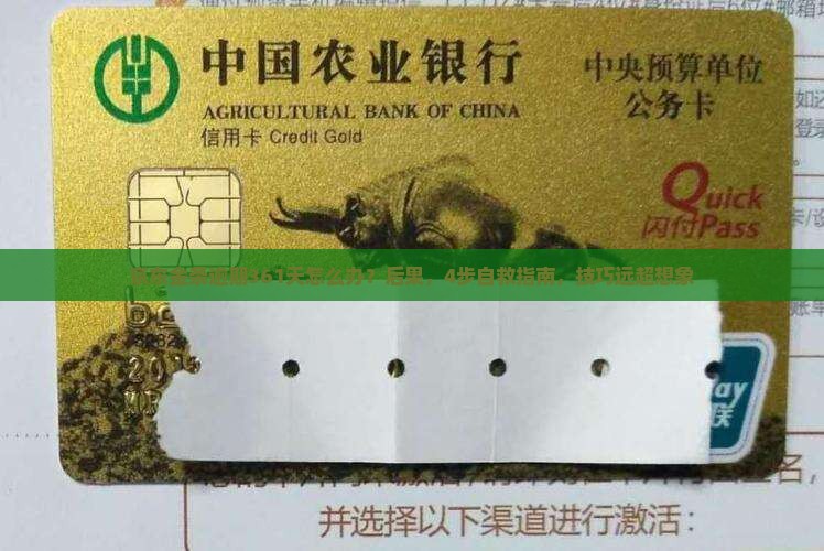 京东金条逾期361天怎么办